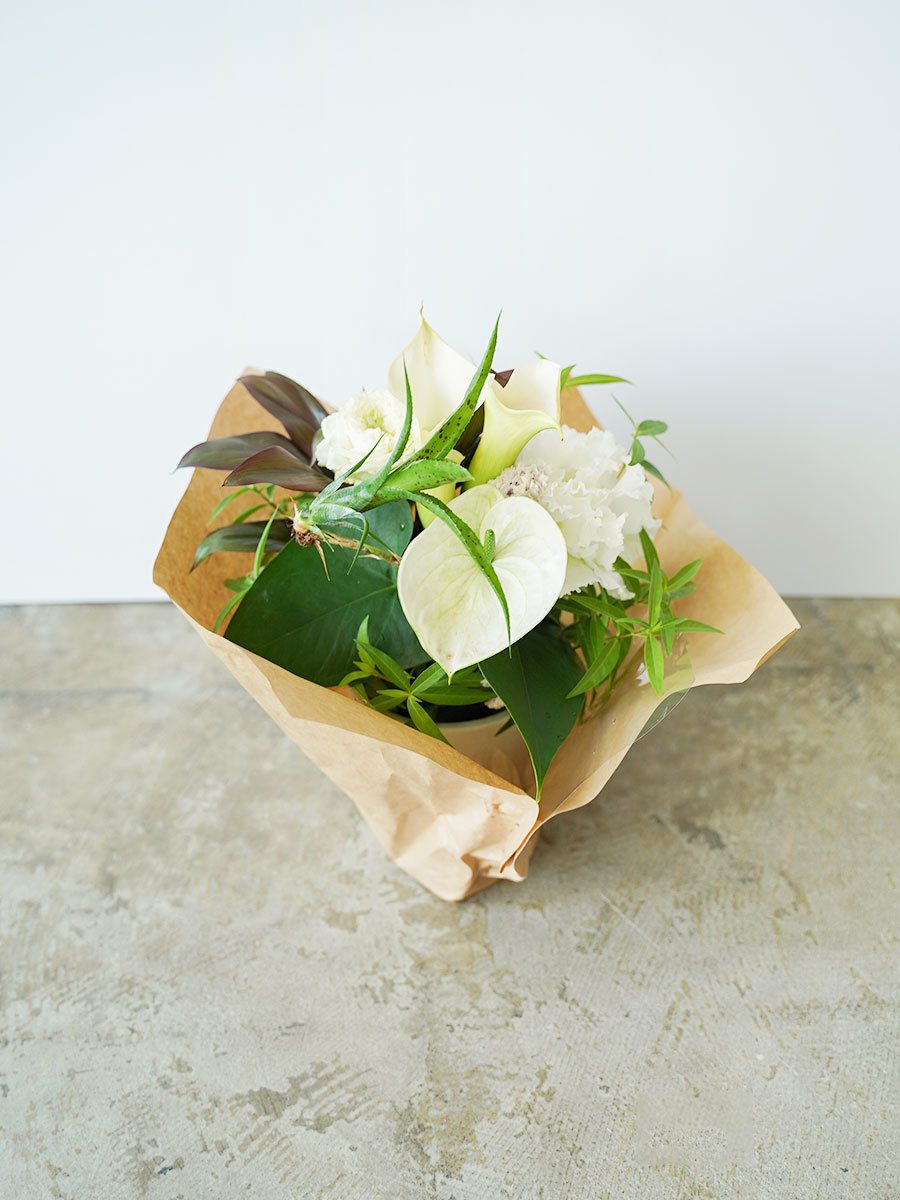 カラーとアンスリウムの生花アレンジ S｜おしゃれな祝い花通販Sakaseru