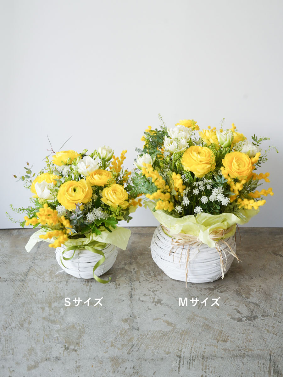 季節限定】ミモザの黄色アレンジ M｜おしゃれな祝い花通販Sakaseru