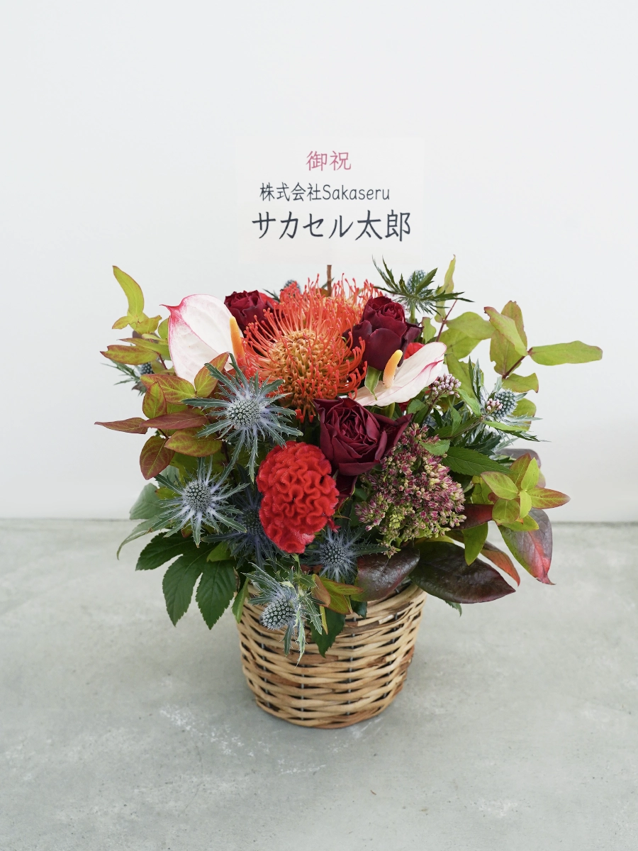 秋限定】ピンクッションと赤バラの生花アレンジ S｜おしゃれな祝い花