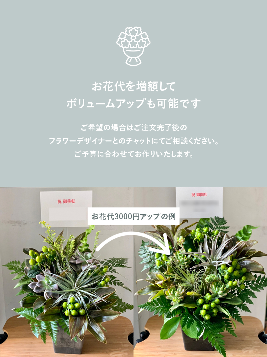 ピンクの胡蝶蘭にキングプロテアを合わせたアレンジ｜おしゃれな祝い花