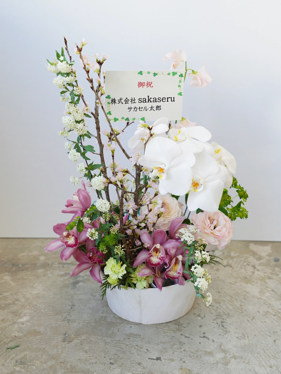 季節限定】胡蝶蘭と桜の生花アレンジ M｜おしゃれな祝い花通販Sakaseru