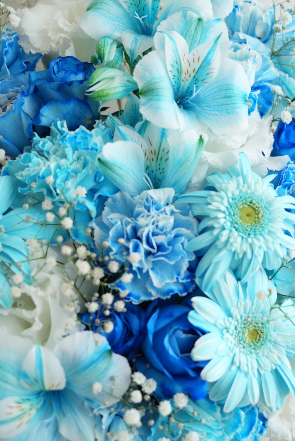 楽屋花 ヨコスカ・ベイサイド・ポケット 公演 [フォアレーゼン