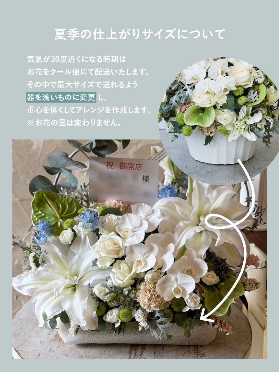 胡蝶蘭と八重咲百合のアーチの生花アレンジ L｜おしゃれな祝い花通販