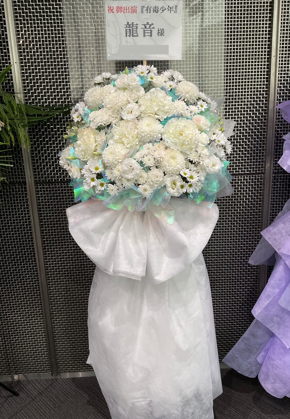 花　　ホロスコープ鑑定付きオーダーメイド 楽天市場】押し花 キット 押花 フラワープレス 手作り フラワー