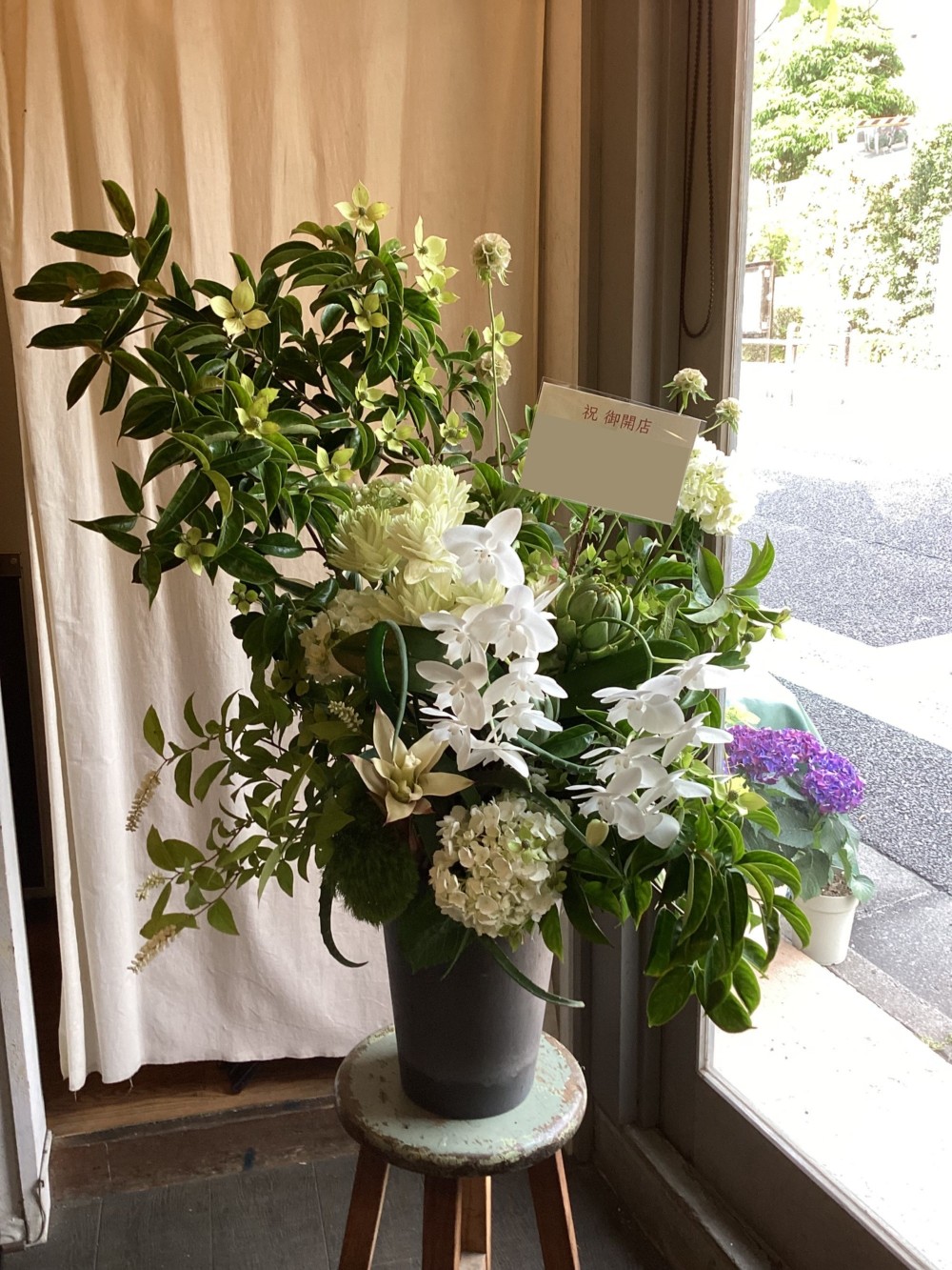 葉物を添えて躍動感あふれる胡蝶蘭祝い花