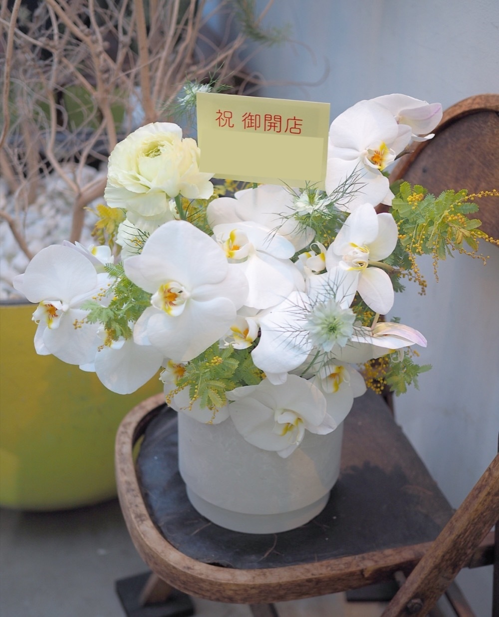 「開店お祝いと、今後を応援する気持ちを込めて」胡蝶蘭の印象的な開店祝い花