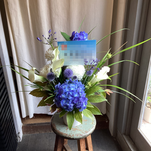 海と和のイメージでおまとめしたご出演祝い花・楽屋花|福岡へ送るお祝いに人気の商品