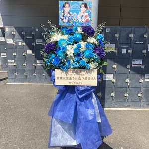 豊洲PIT 公演 [僕が見たかった青空　アオゾラサマーフェスティバル2025] 宮腰友里亜さん　山口結杏さん ご出演スタンド花