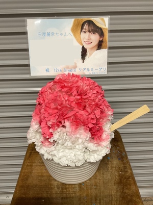 京都パルスプラザ 公演 [12th リアルミーグリ] 守屋麗奈様 ご出演祝い花・楽屋花