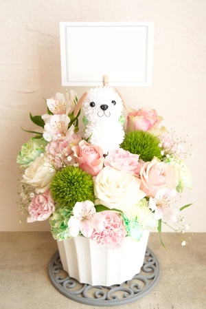 猫 フラスタ フラワーアレンジ 卓フラ 楽屋花 生誕祭 推し バルスタ