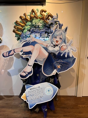 秋葉原エンタス 公演 [水瀬 凪ファンミーティング-なぎんこ宇宙総会-] 水瀬凪様 ご出演スタンド花