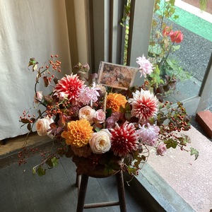 渋谷Malcolm  公演 [Came Channel アコースティック【Voice】 Unplugged Vol.2] キャメ様 ご出演祝い花・楽屋花