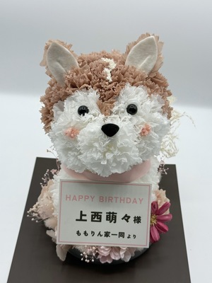 musik saal 公演 [上西萌々生誕祭] 上西萌々様 ご出演祝い花・楽屋花