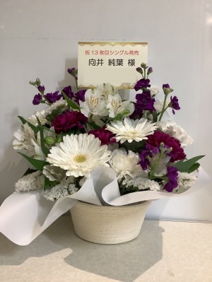 京都パルスプラザ 公演 [リアルミート&グリート] 向井純葉様 ご出演祝い花・楽屋花