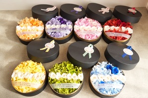 赤羽ReNY alpha 公演 [なぞの同窓会 !? VOL.2] くまのきよみ様  SASEBO BROTHERS様  Sana様 新堂敦士様 すわひでお様 フレディ波多江様 MAKI様 ご出演祝い花・楽屋花