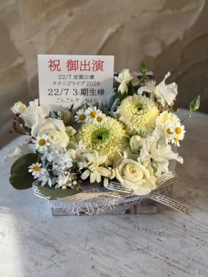 SHIBUYA PLEASURE PLEASURE 公演 [22/7 3期生 定期公演「ナナニジライブ 2026」] 22/7 3期生 様 ご出演祝い花・楽屋花