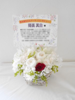 公演 [祝お誕生日&アーティストデビュー] 陽高真白様 ご出演祝い花・楽屋花