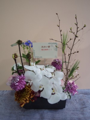 飲食店の周年祝いにお作りした胡蝶蘭 和モダンアレンジ