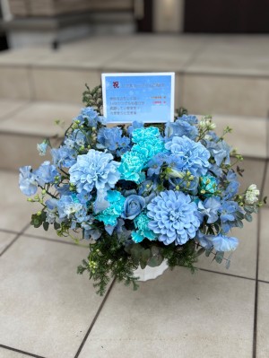 パシフィコ横浜 公演 [日向坂46 16thシングル　リアルミート&グリート] 竹内希来里様　石塚瑶季様 ご出演祝い花・楽屋花