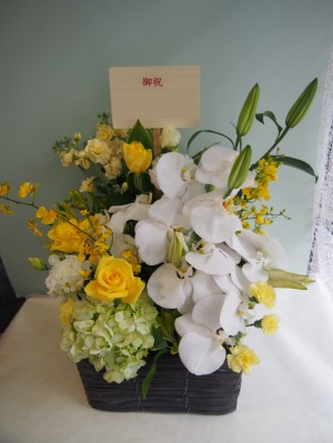 お祝いの気持ちを込めて 百合と胡蝶蘭のお祝い花