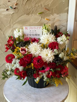 大宮ラクーンよしもと劇場 公演 [ワンマンライブ] 子安裕樹 ご出演祝い花・楽屋花