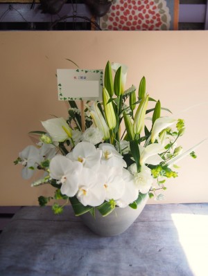 白を基調に上品に仕上げた胡蝶蘭祝い花