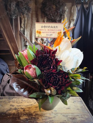 animatehall WHITE 公演 [「太陽みたいな、 1巻」発売記念 かきのたね先生サイン会] かきのたね先生 ご出演祝い花・楽屋花