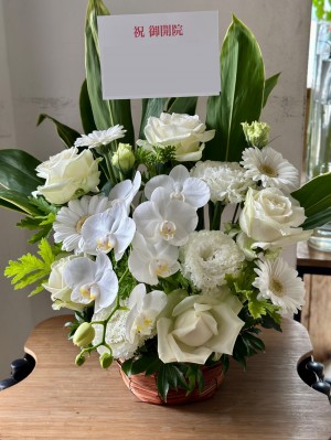 新しい門出にふさわしい胡蝶蘭を取り入れたご開院祝い花