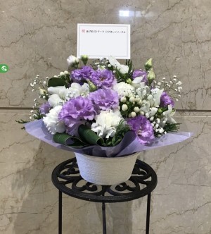 京都パルスプラザ 公演 [日向坂46 17thシングル Kind of loveリアルミート&グリート] 小坂菜緒様 ご出演祝い花・楽屋花