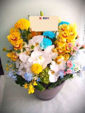 就任祝いに贈る 華やかな胡蝶蘭アレンジメント