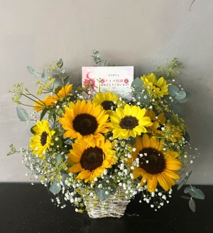 LIVE SPACE Q 公演 [ぶいかふぇ♪NEXT vol.74] 紅月夢叶様 ご出演祝い花・楽屋花