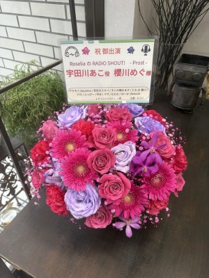 櫻川めぐさん宛