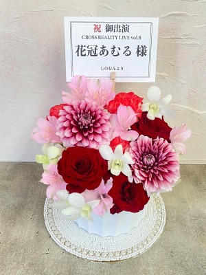 1st Stage 公演 [CROSS REALITY LIVE vol.8] 花冠あむる 様 ご出演祝い花・楽屋花|東京へ送るお祝いに人気の商品