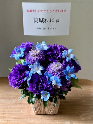 フジテレビ 公演 [フジテレビ『しおこうじ玉井詩織×坂崎幸之助のお台場フォーク村NEXT』 ] 高城れに様 ご出演祝い花・楽屋花