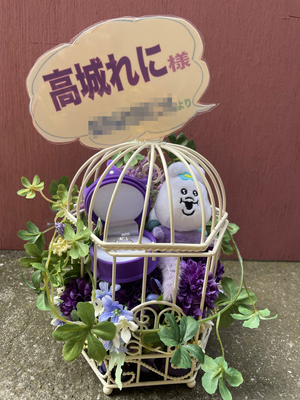 フジテレビNEXT 公演 [『しおこうじ玉井詩織×坂崎幸之助のお台場フォーク村NEXT』] 高城れに様 ご出演祝い花・楽屋花