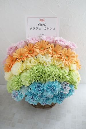 TOKYO DOME CITY HALL 公演 [ClariS SPRING TOUR 2024 〜Tinctura〜] ClariS 様 ご出演祝い花・楽屋花