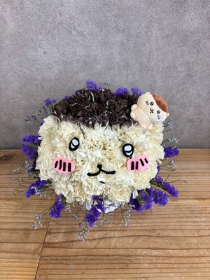 フジテレビ [しおこうじフォーク村] 高城れに さん ご出演祝い花・楽屋花